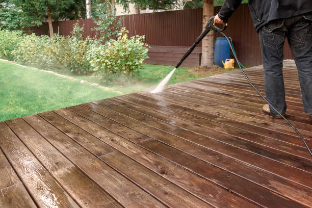 Best Driveway Cleaning and Restoration in Minneota, MN