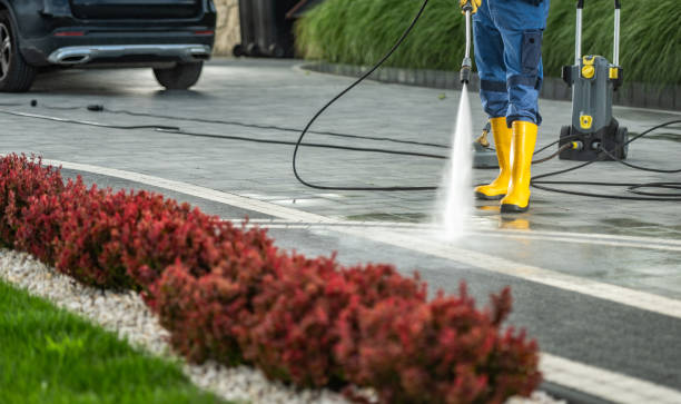 Best Parking Lot Cleaning in Minneota, MN